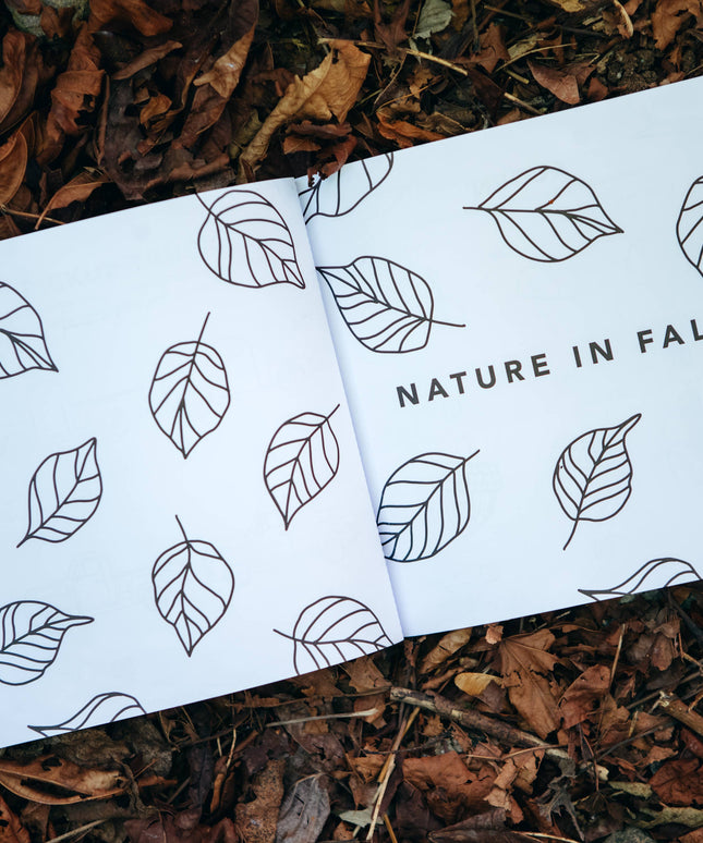 Fall Things: How to Draw Book for Kids with Pumpkins, Scarecrows, Turkeys and More
