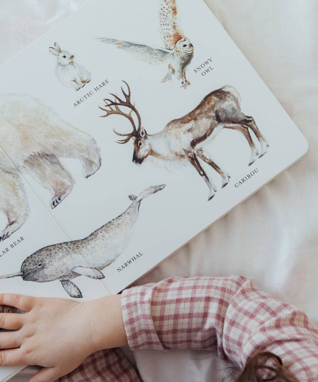 Our Big Book of Animals (Board Book)